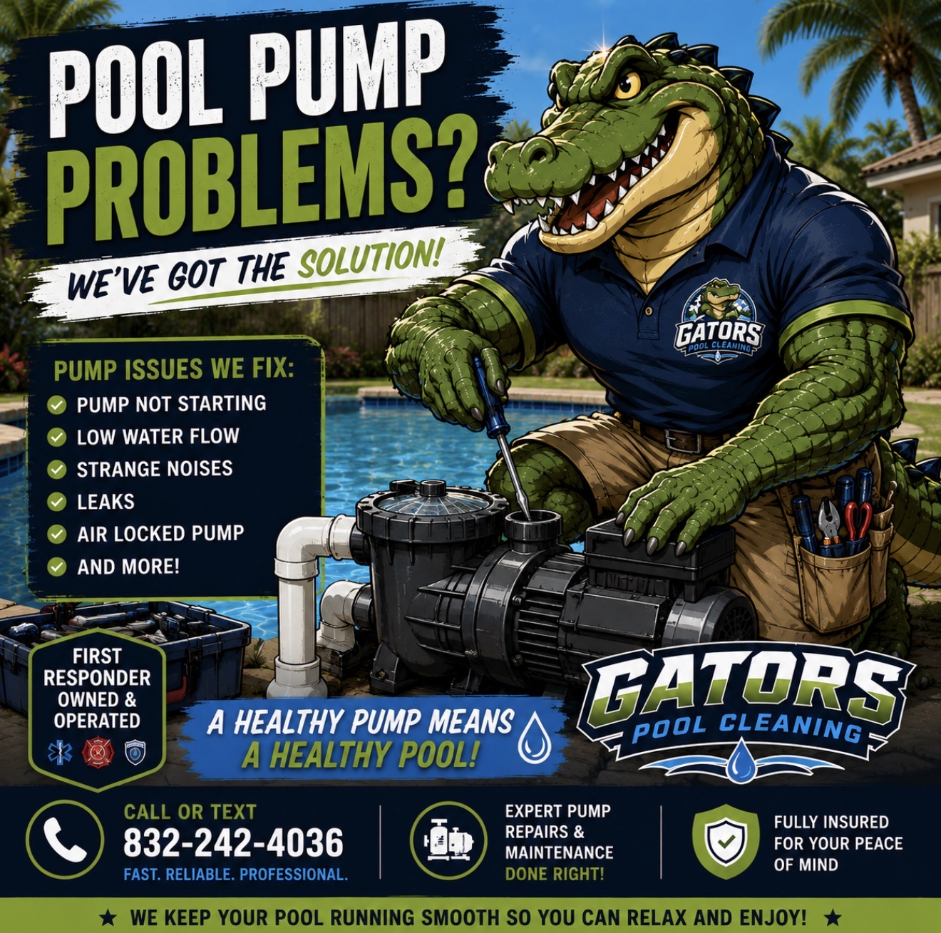 Pool pump equipment service